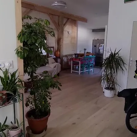 Nocleg ze śniadaniem Belle Sur Terrasse A 3 Min De La Gare Bordeaux